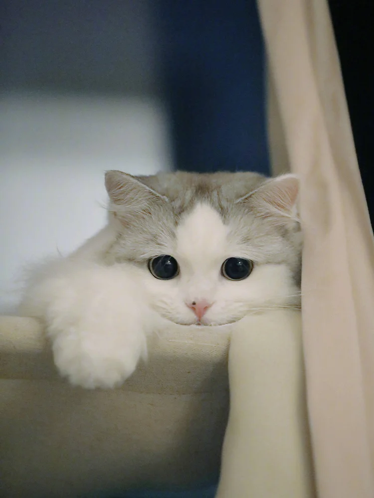 

ᵀʰᵉ ᵇᵉˢᵗ ʷᵉⁱᵍʰᵗ ˡᵒˢˢ ᵖᵃᵗᶜʰ ᵒᶠ ²⁰²⁵ ᵗʰᵉ ᵇᵉˢᵗ ᶜʰᵒⁱᶜᵉ ᶠᵒʳ ᵇᵘʳⁿⁱⁿᵍ ᶠᵃᵗ ᵉˣᵖᵉˡˡⁱⁿᵍ ᵐᵒⁱˢᵗᵘʳᵉ ᵗᵒ ˡᵒˢᵉ ʷᵉⁱᵍʰᵗ⸴ ˡᵒˢᵉ ²⁵ ᵖᵒᵘⁿᵈˢ ⁱⁿ ⁷ ᵈᵃʸˢ