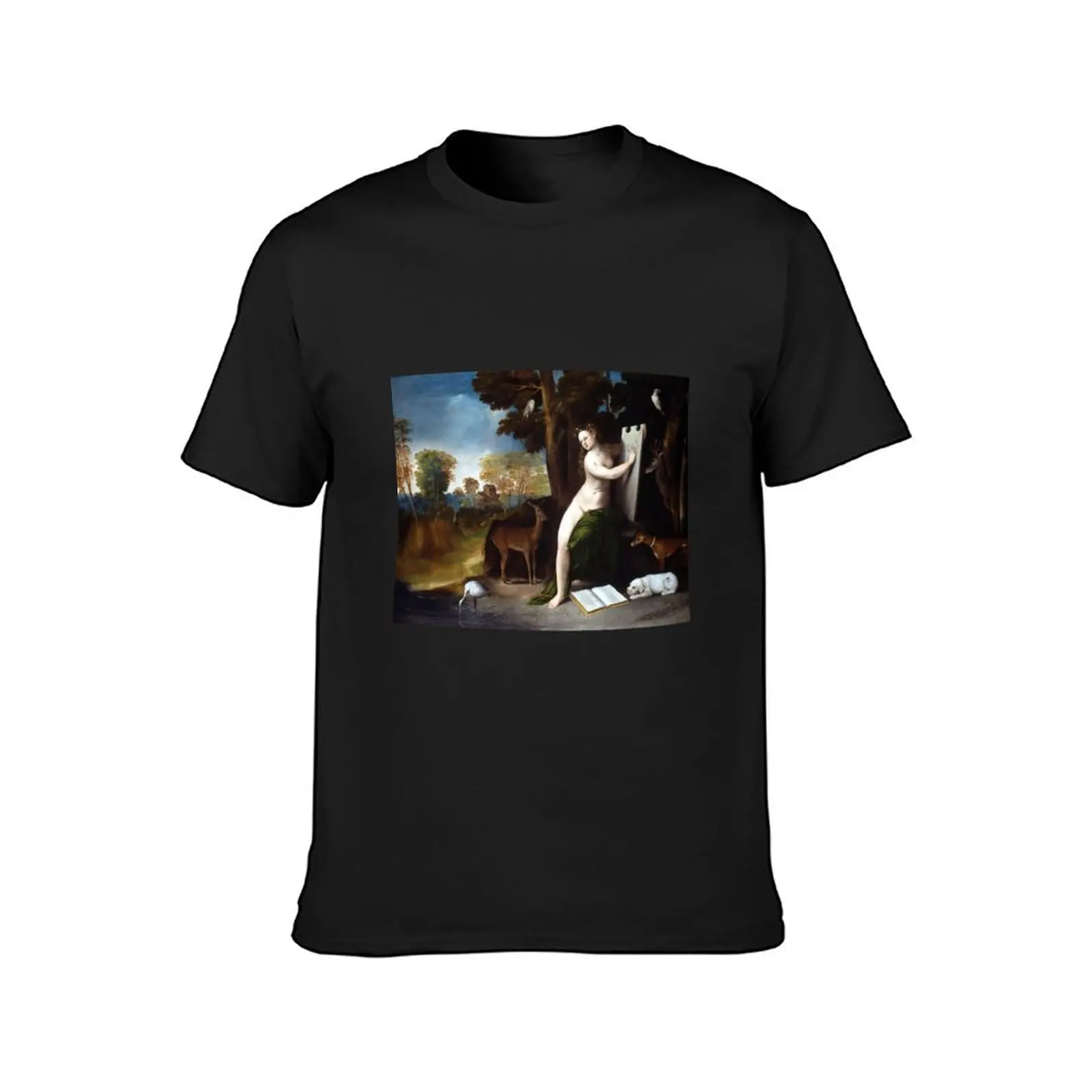 Dosso Dossi Circe and her Lovers in a Landscape T-Shirt vintage clothes quick drying men clothes