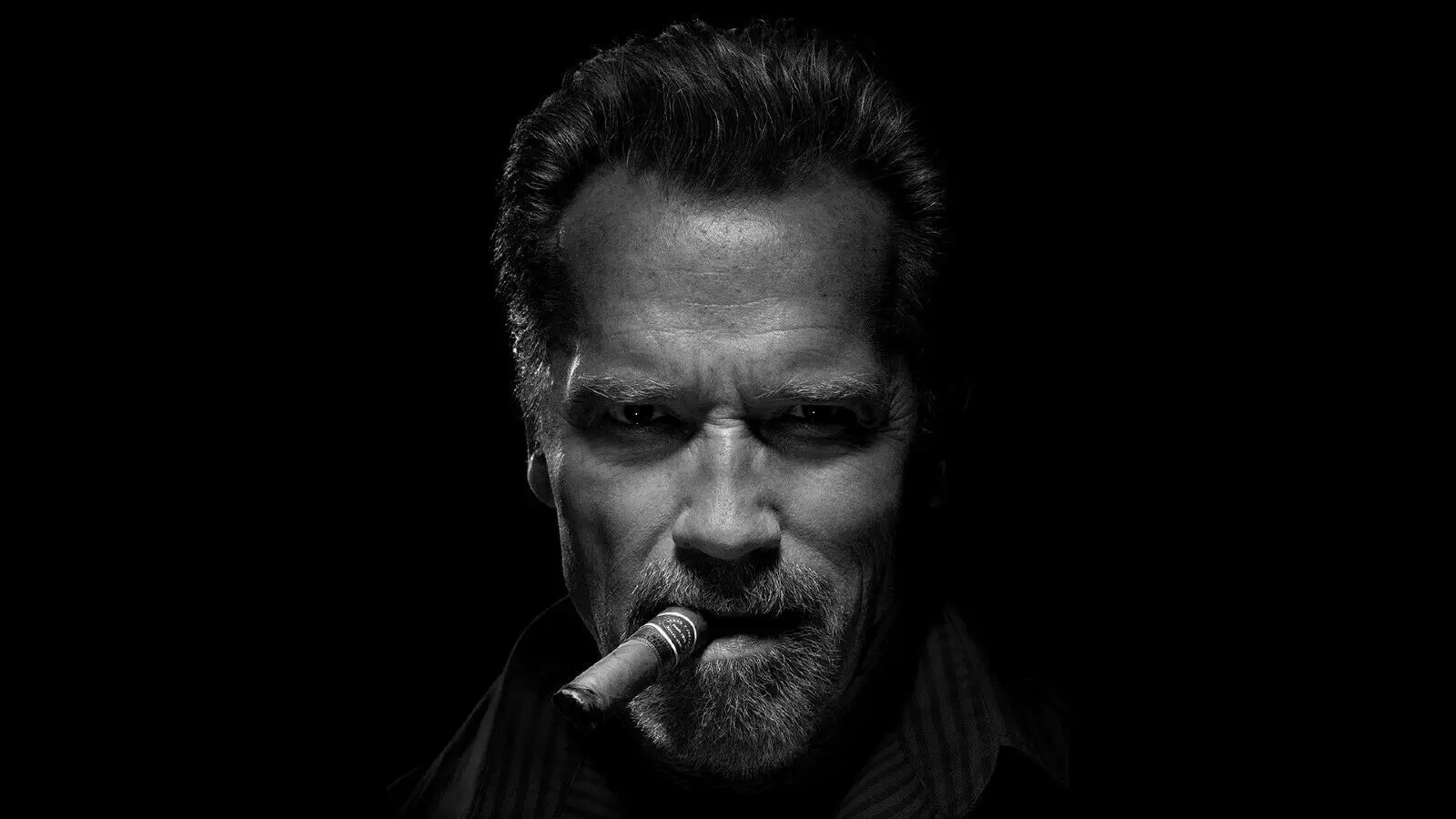 Arnold Schwarzenegger with Cigar Art Picture Print Silk Poster Home Wall Decor