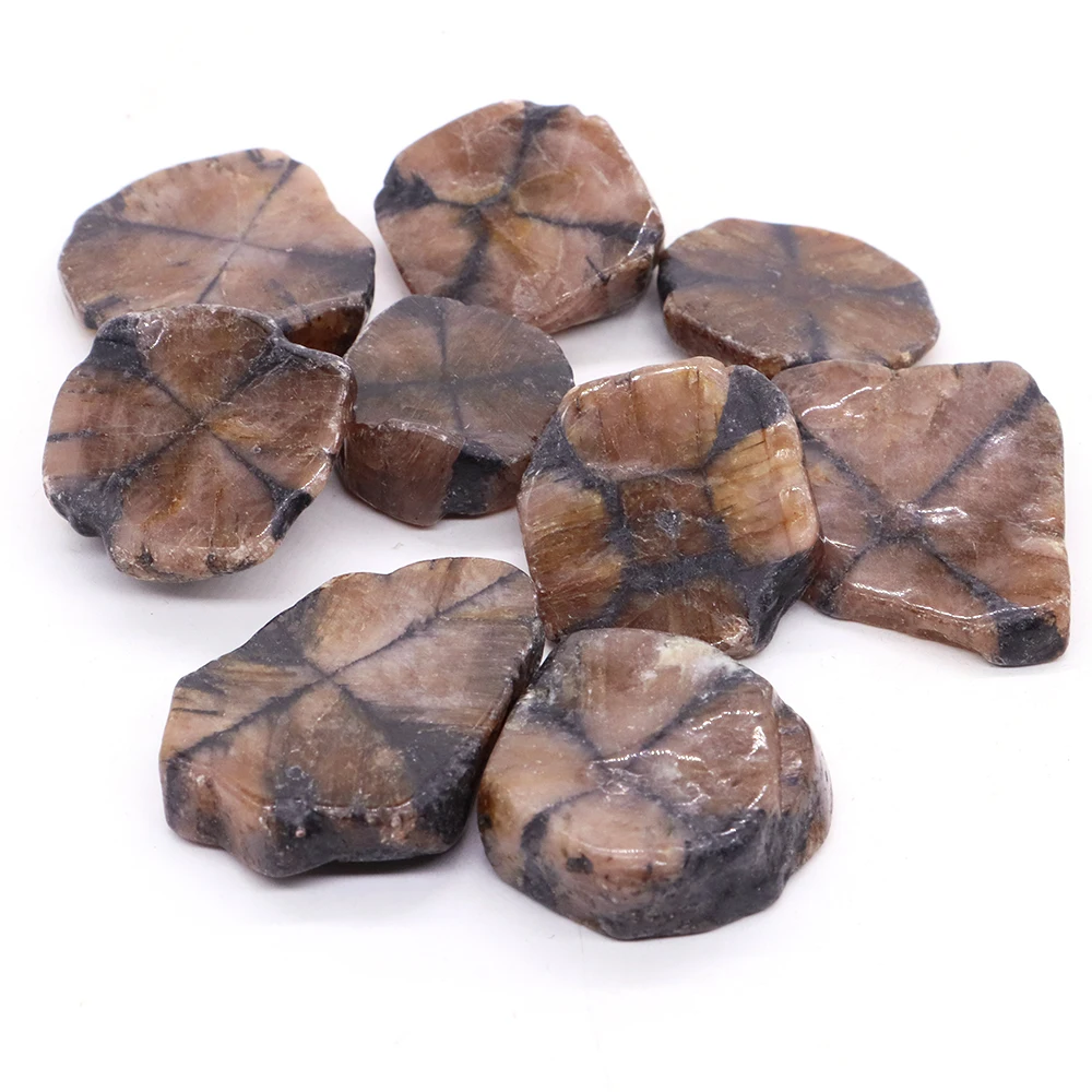 Natural Chiastolite Quartz Crystals and Healing Stones Tumbled Bulk Mineral Specime Gemstones Home Aquarium Decoration Wholesale