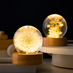 3D Dandelion Crystal Ball 5cm 6cm Luminous Immortality Flower Gift Crystal Ball Wood Stand Base Preserved Flower Sphere Ball