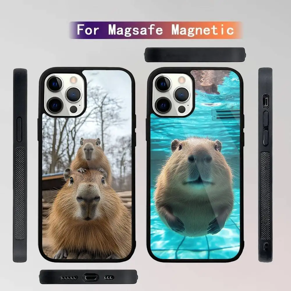 

Funny Cute Pet Capybara Phone Case For iPhone 16,15,14,13,12,11,Plus,Pro,Max Mini Magsafe Magnetic Wireless Charging