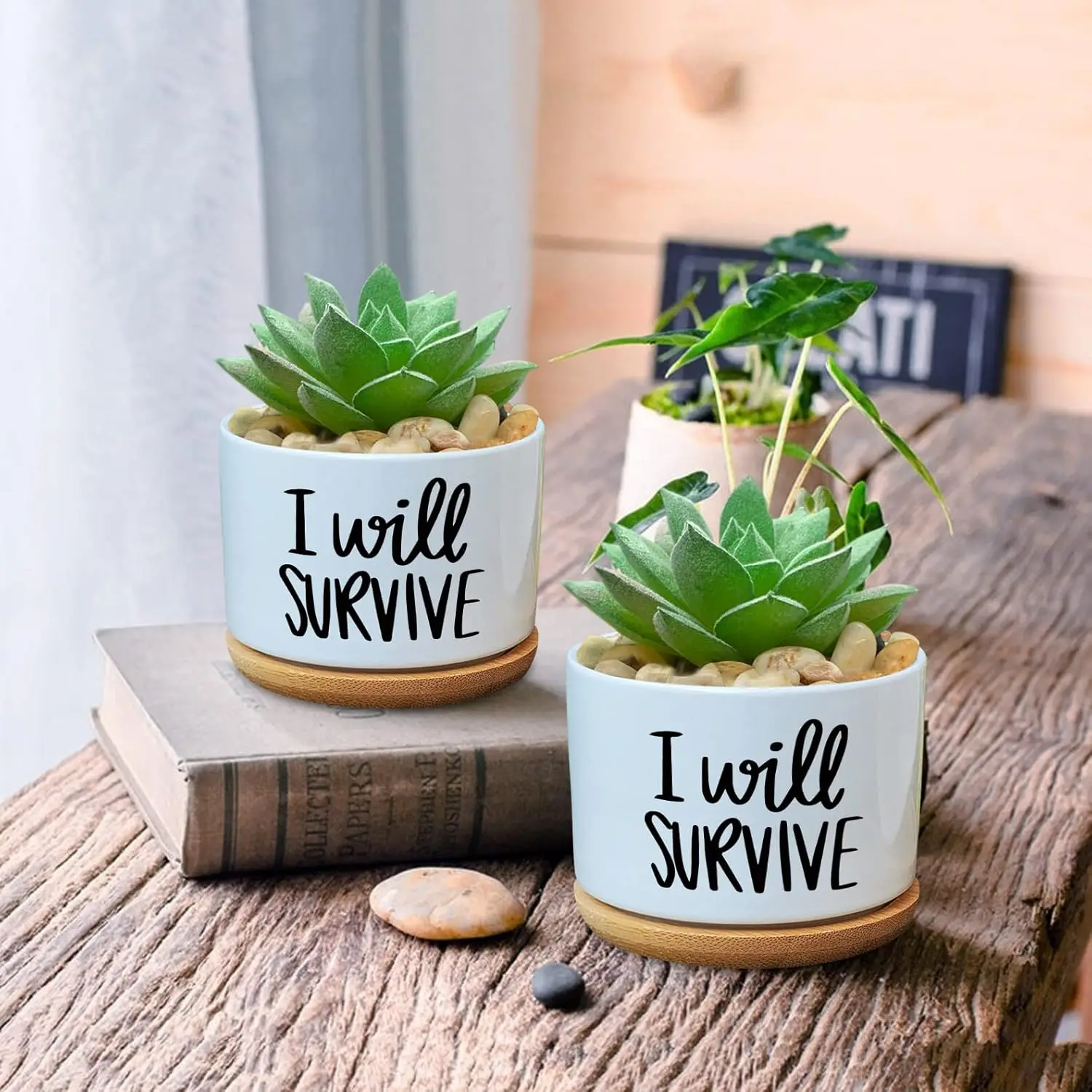 I Will Survive Ceramic Succulent Plant Pot with Bamboo Tray Green Planters Creative Flowerpots for Gardener's Gift