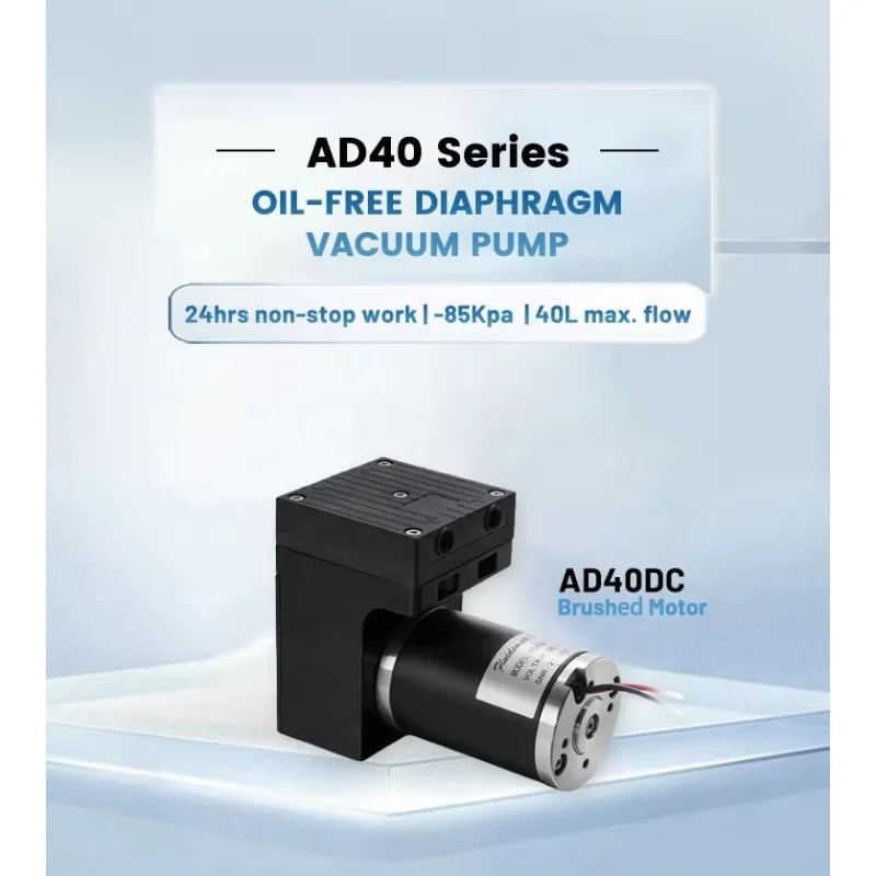 12V 24V Personalizzato Mini Doppio Diaframma Pompa di Aria Portatile Laboratorio Resistente Alla Corrosione Piccolo Olio Silenzioso Meno Pompa di Vuoto