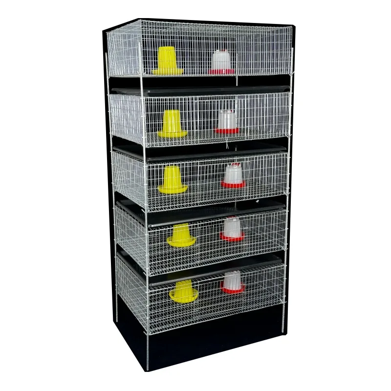 Multilayer Reinforced Quail Cage, Partridge Chick Rearing, Large Manure Tray, Steel Columns, Durable and Easy to Clean