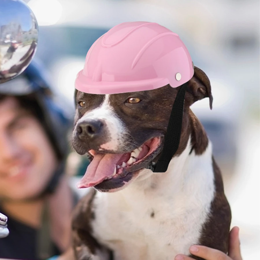Casco seguridad ajustable para perros pequeños y gatos – Bici y moto - imagen 5
