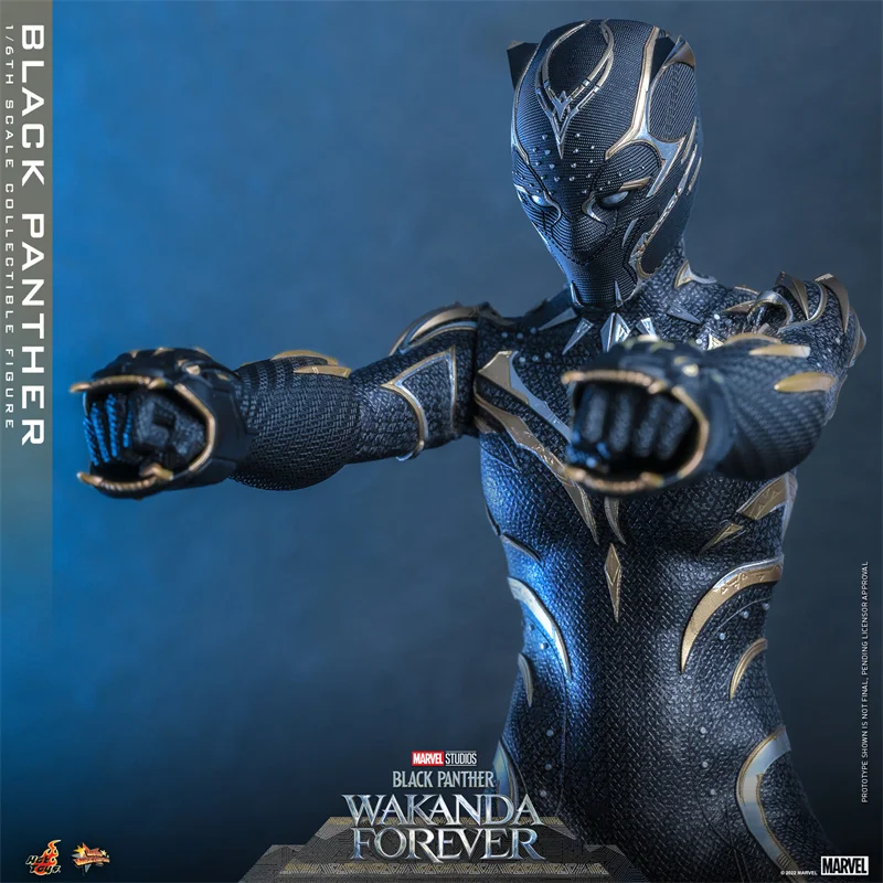 Hot Toys Mms675 Black Panther 2 Female Panther Wakanda Forever 1:6 Scale Collectible Pvc Model Gk Doll Action Figures