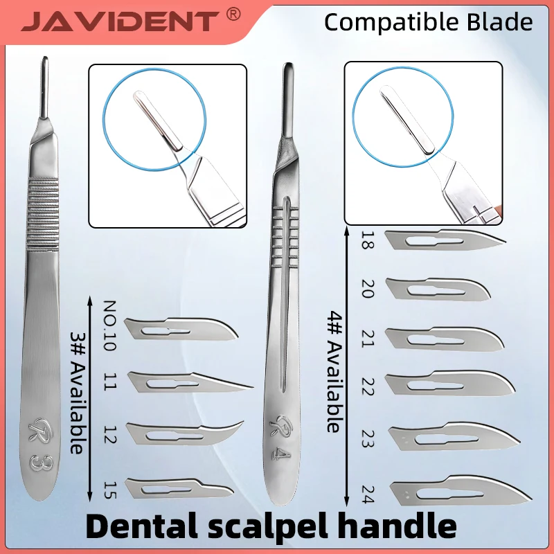 Dental Scalpel Handles  Surgical Instruments  Tools for Laboratory Bio-anatomical Studies, Artistic Creation, and Dental Repair