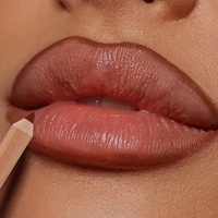 1pc Matte Lipstick & Liner Pen, Waterproof, Long-Lasting, Non-Stick, Berry Shades for All Skin Types, Makeup Pencils for Women