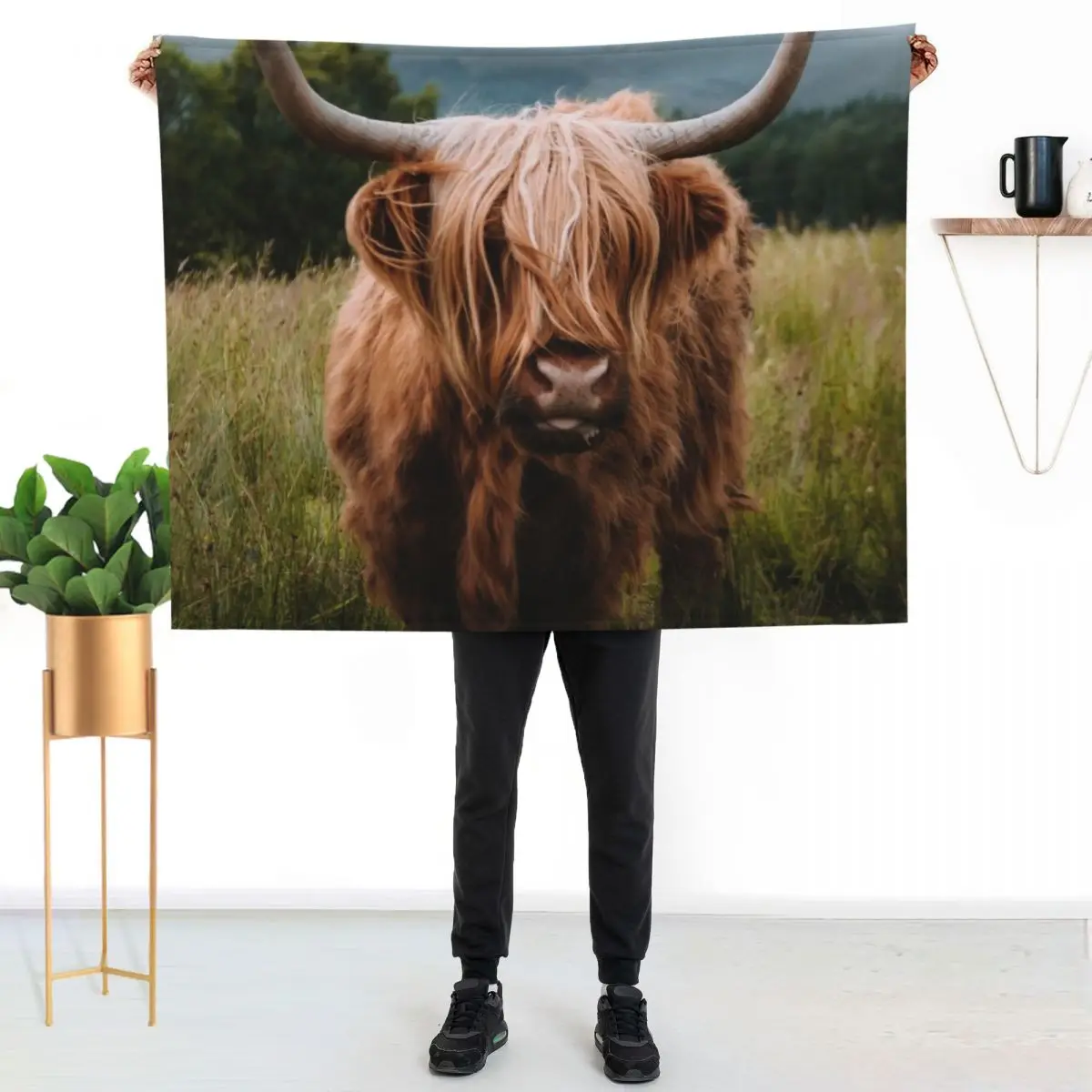 Wooly Cow a?? Scottish Highland Cattle in Scotland Throw Blanket Softest Single Furry Plush Luxury Blankets