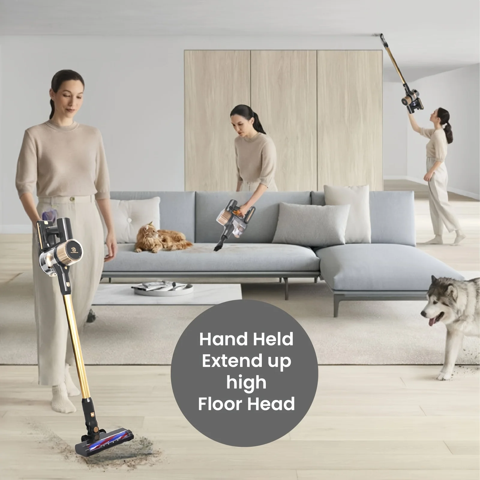 Superlex 2In 1 Corldess Vacuum Cleaner