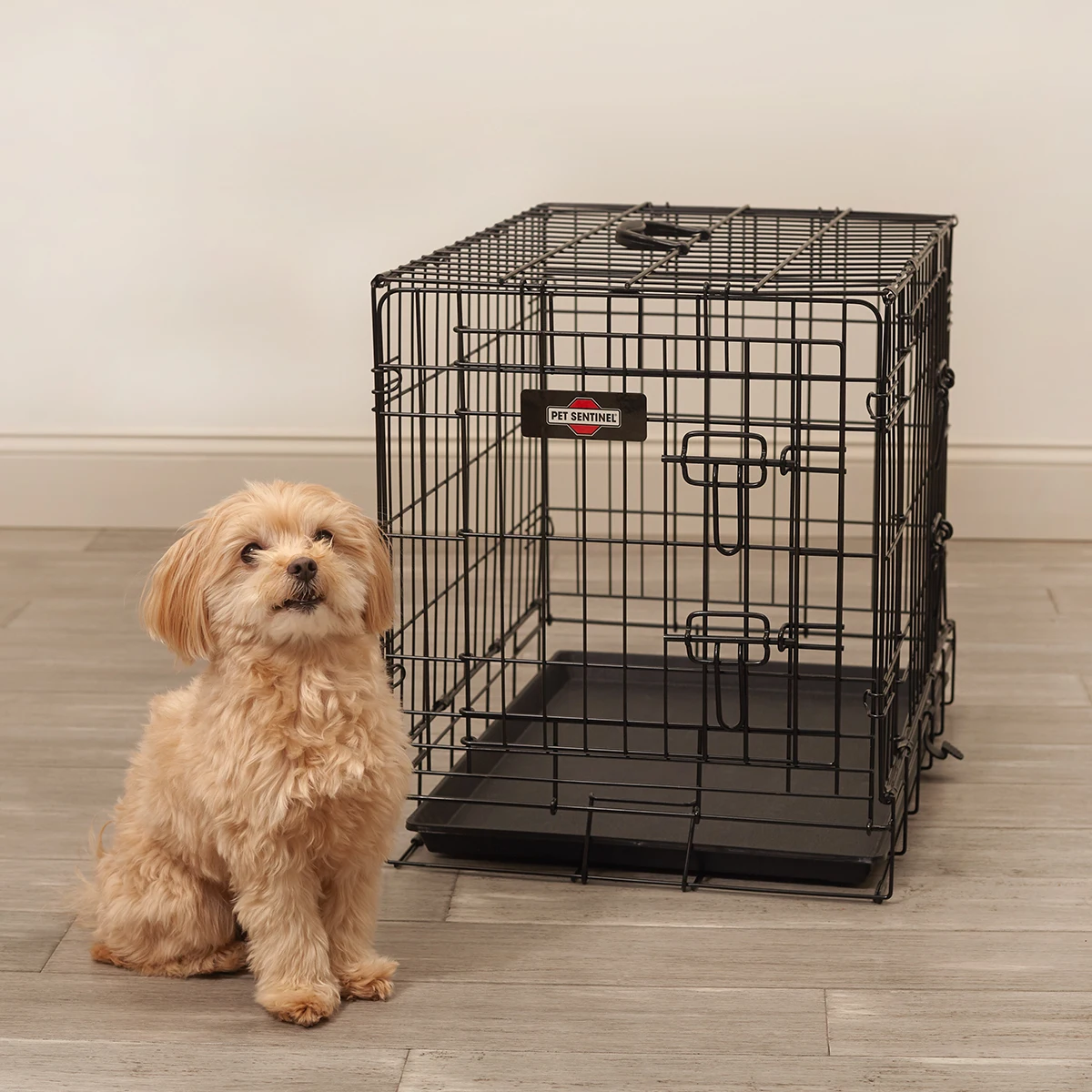 

Collapsible Modern Dog Crate Outdoor Metal Pet Kennel Cage