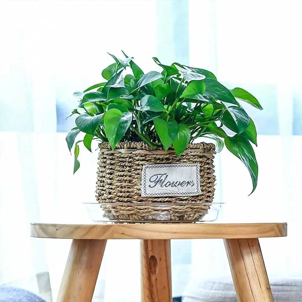 5pcs 6/8/10/12 Inch Plastic Flower Pot Tray Round Anti-slip Planter Mat Transparent Reusable Drip Trays Potted Plant