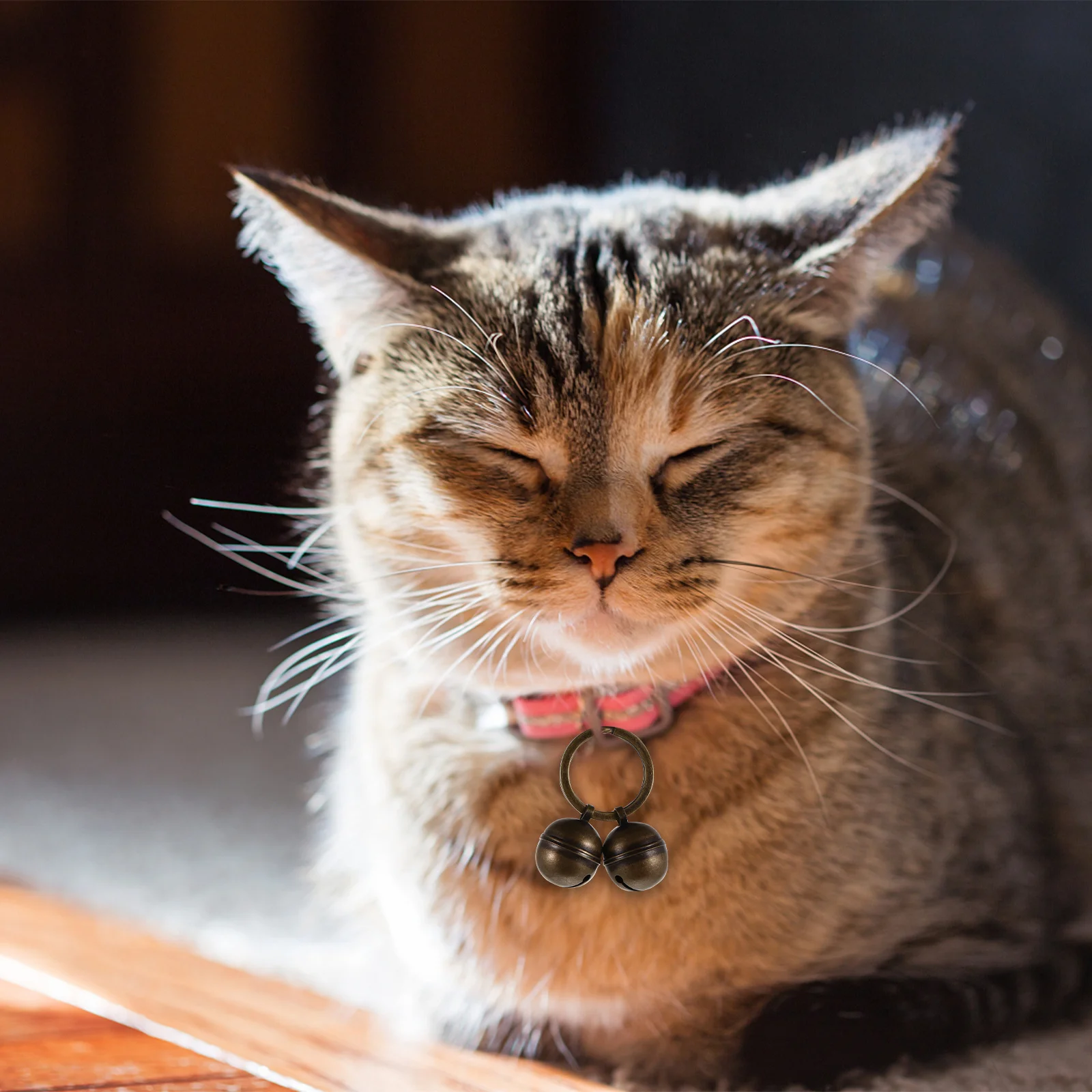 

2Sets DIY Copper Bell Kit for Pet Collar Keyring Loud Bells Cat Dog Pendant Decoration Gift Dog Collar Bell