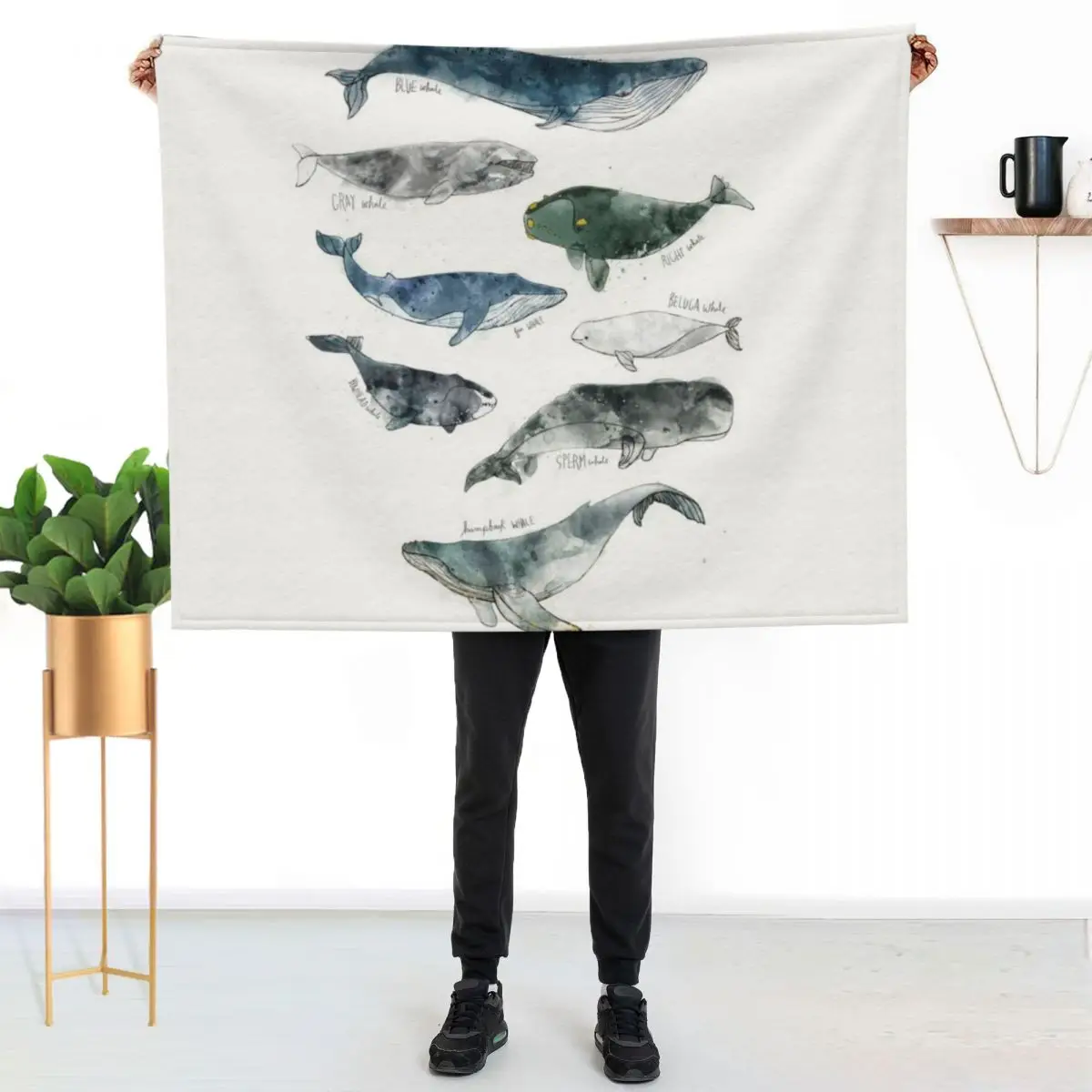 Whales Throw Blanket Plaid Furrys Blankets For Baby For Decorative Sofa Shaggy Retros Blankets