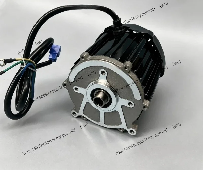 for 5 Hole 14 Tooth 48V 60V 500W-1000W Brushless Differential Motor Pure Copper Electric Tricycle E Rickshaw Drive Motor
