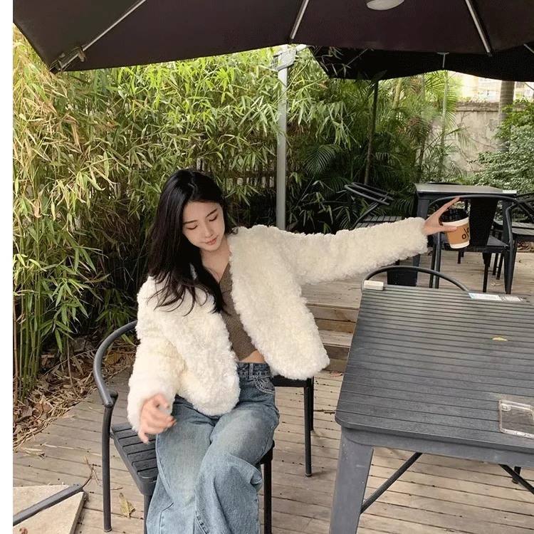 Loose Casual Women Autumn Winter Faux Fur Coat Female Warm Furry Soft Fake Fur Jacket Plush Overcoat Solid Short Coats Q42