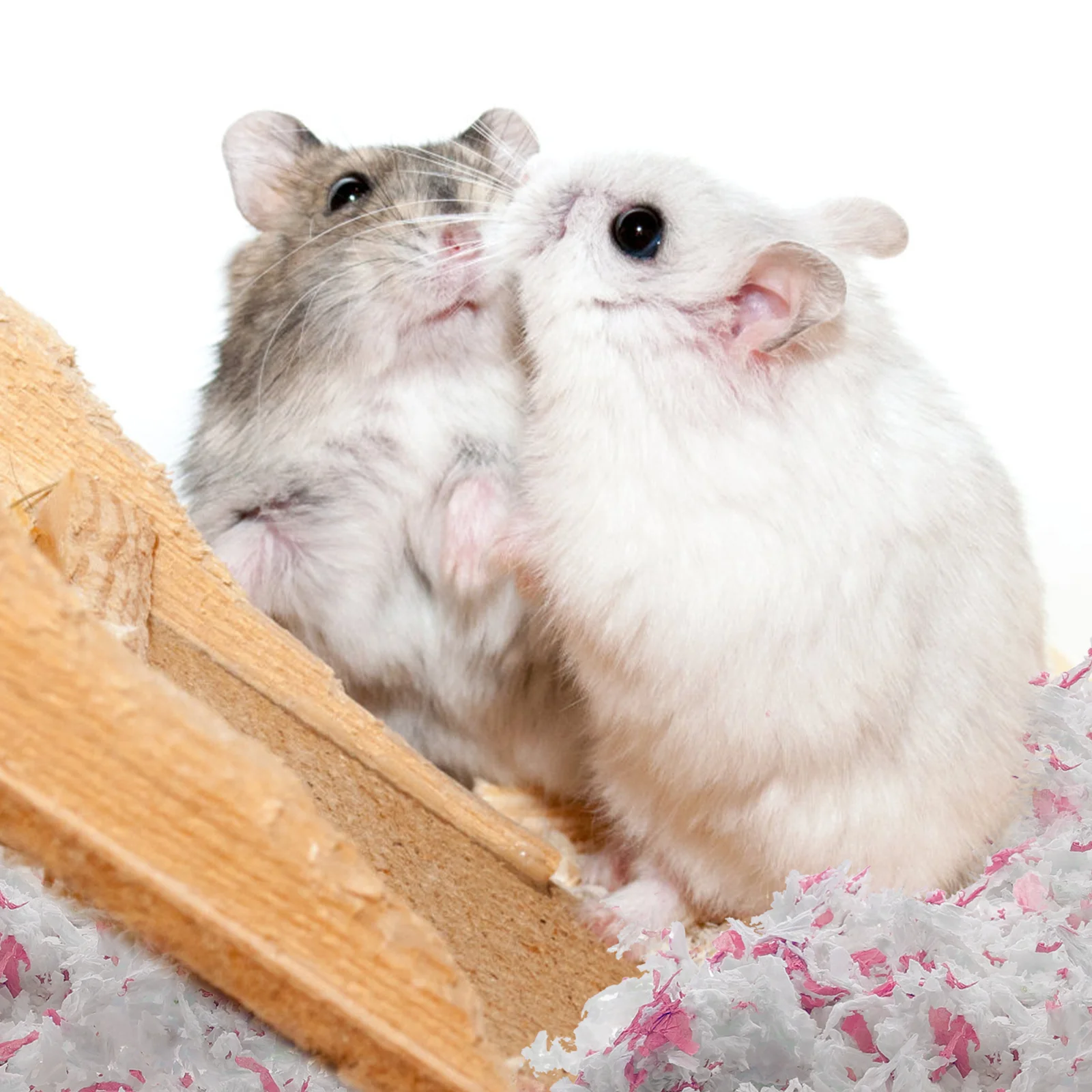 Papier Wattepad Material Hamster Späne Heimtierbedarf Chip Rabbit Liner