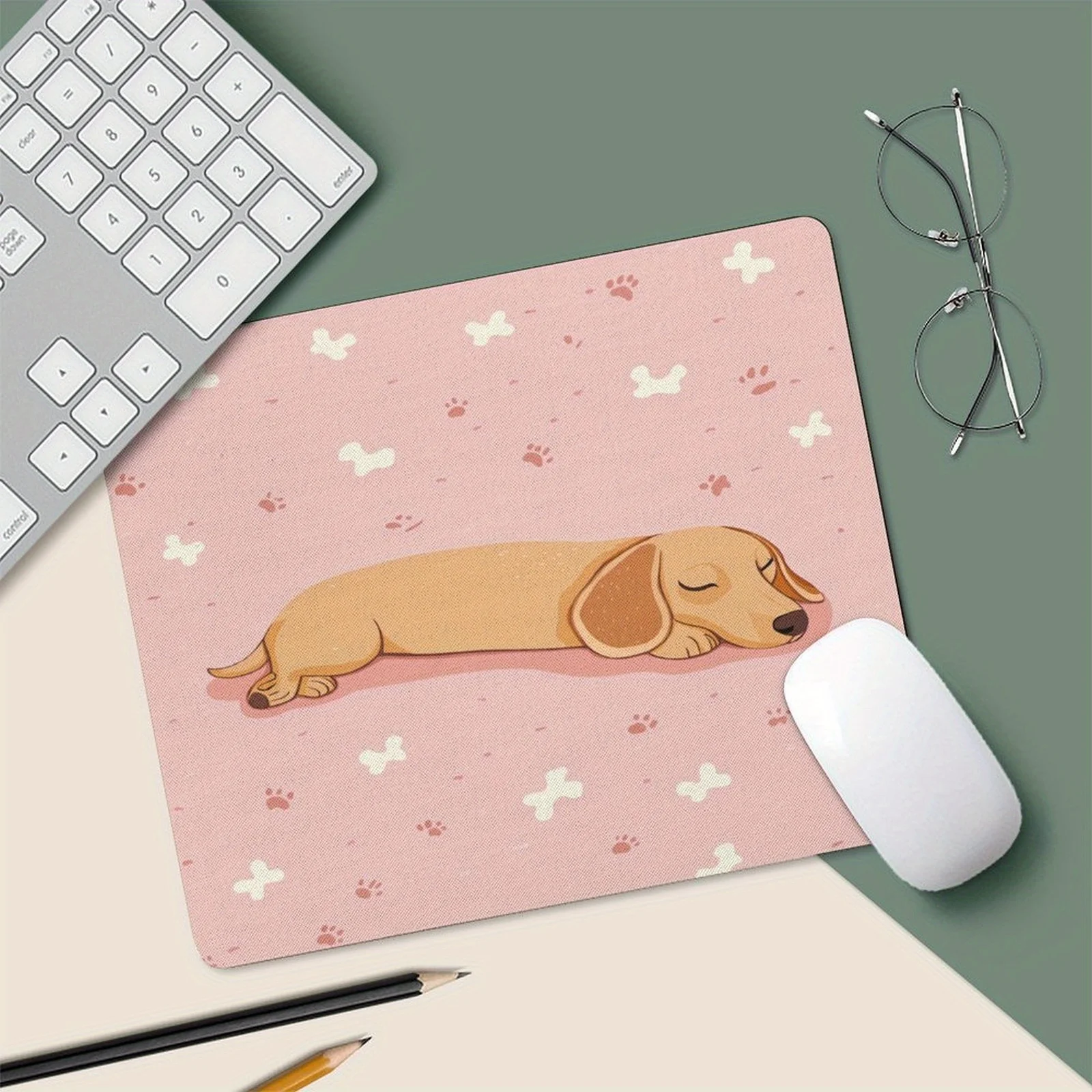 Cute Sleeping Dachshund Puppy - Home Gym Xxl ulasan dan harga