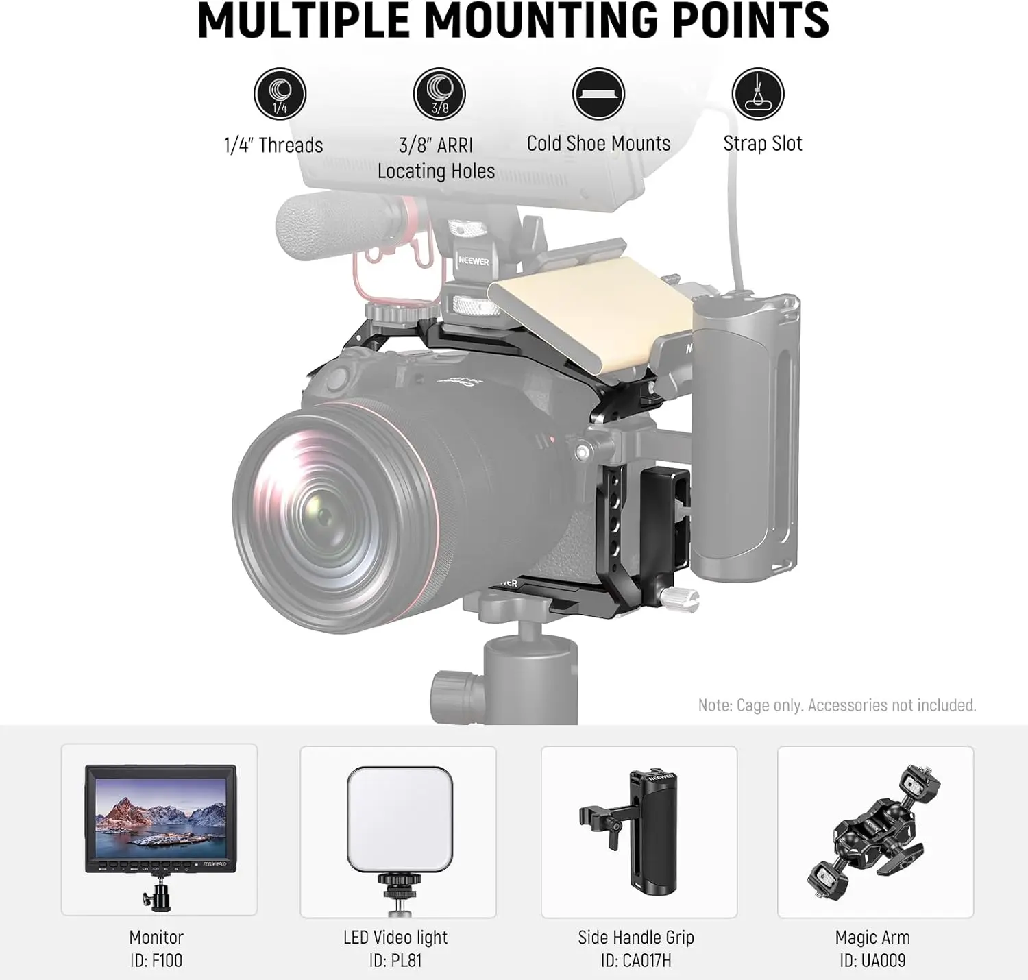 NEEWER EOS R8 Gabbia per fotocamera con morsetto per cavo HDMI Piastra video protettiva in alluminio con base Arca a sgancio rapido per Canon R8