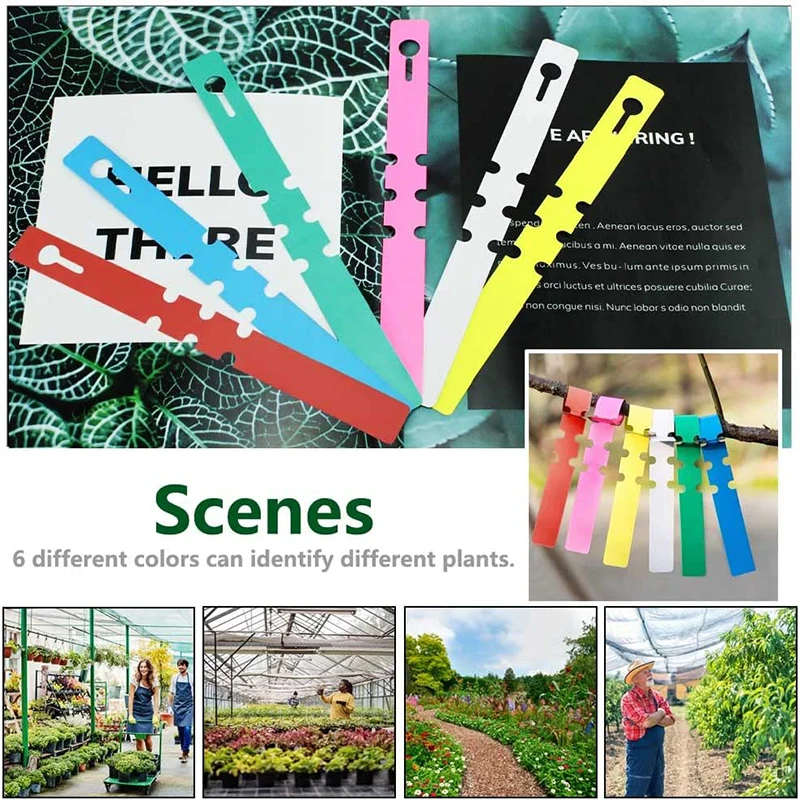 10Pcs Hanging Nursery Garden Labels Plastic Pot Labels Colorful Plant Tags Fit Markers Waterproof Seedlings Potted Plants Herbs