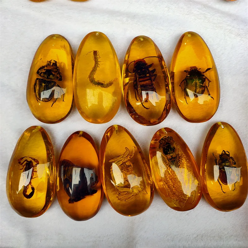Resin Amber Cicada Scorpion Crab Centipede Butterfly Scarab Wasp Dragonfly Specimen Insect Handheld Piece