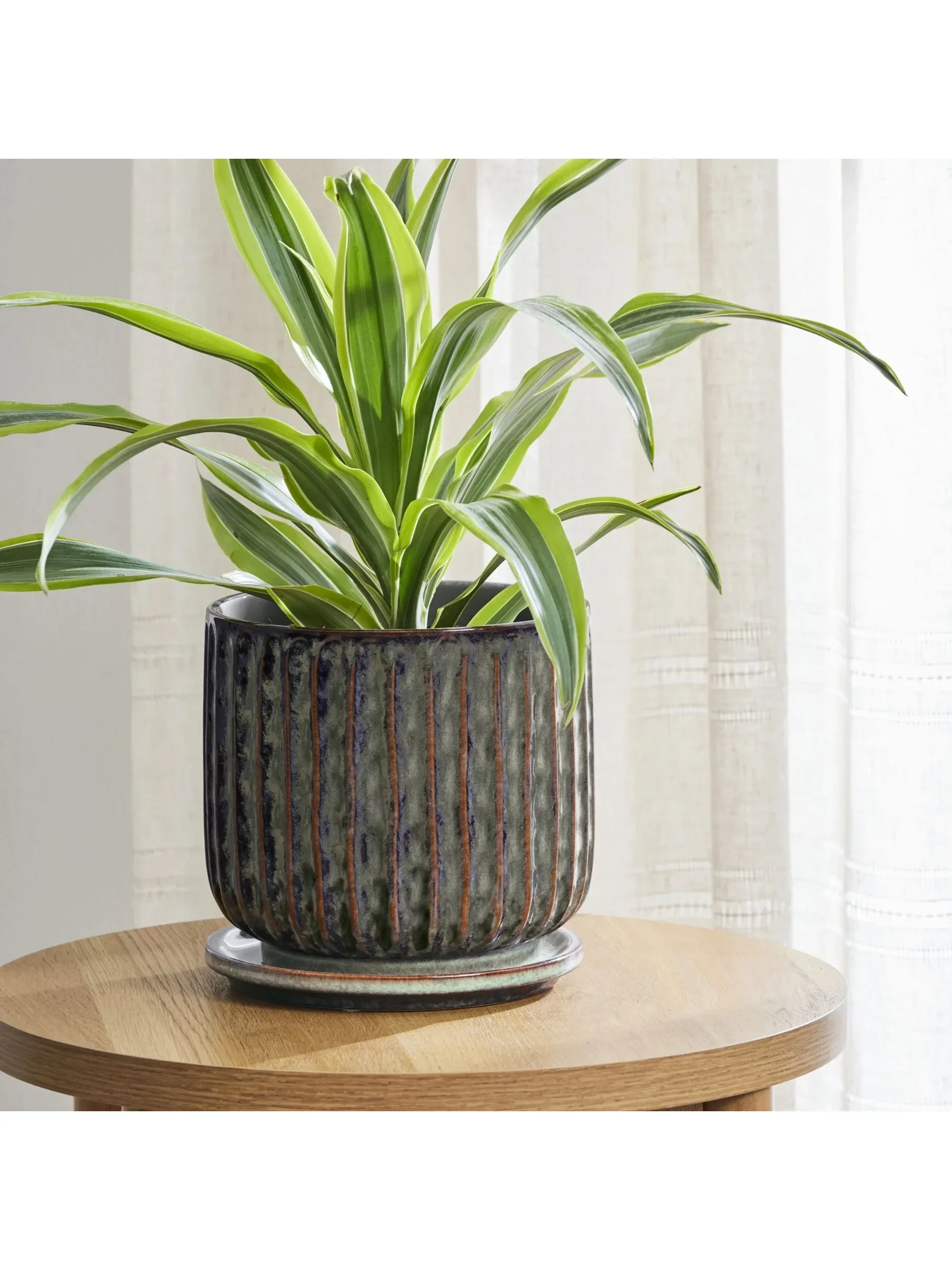 Better Homes & Gardens Jardinera Paul de Cerámica de 8 Pulgadas con Platillo Adjunto