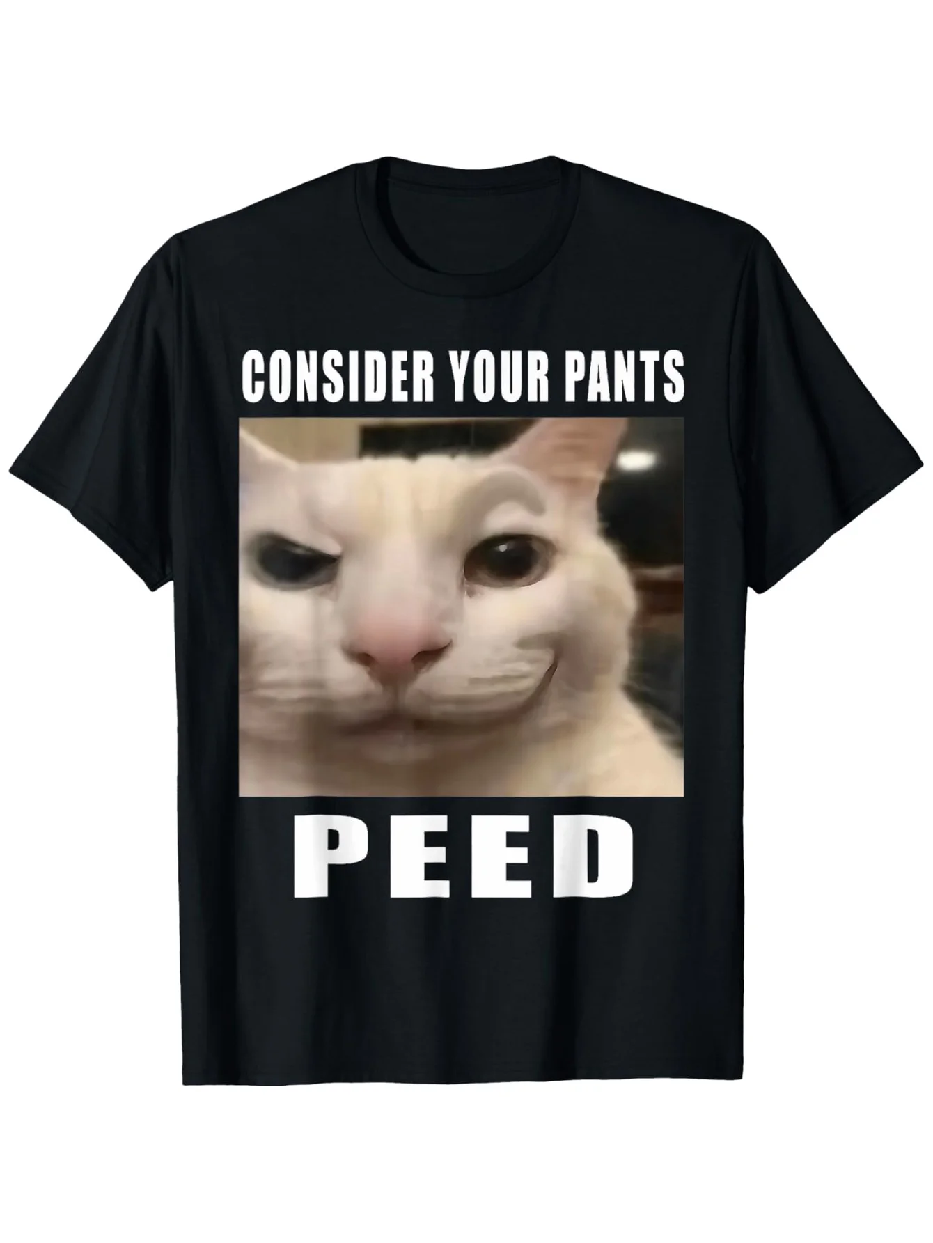 Funny 'Consider Your Pants' Cat Meme T-Shirt for Men & Women - 100% Cotton, Black with White Cat Graphic, Casual Fit