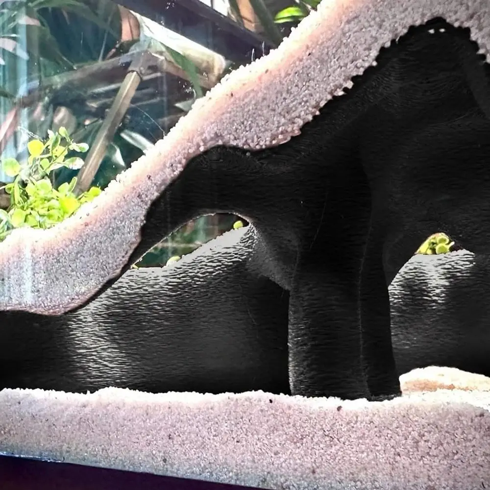 Cueva impresa en 3D duradera, estilo de raíz texturizada, decoración de aspecto Natural, escondite de pescado, decoración de raíz de Mangrove de imitación, cueva de túnel