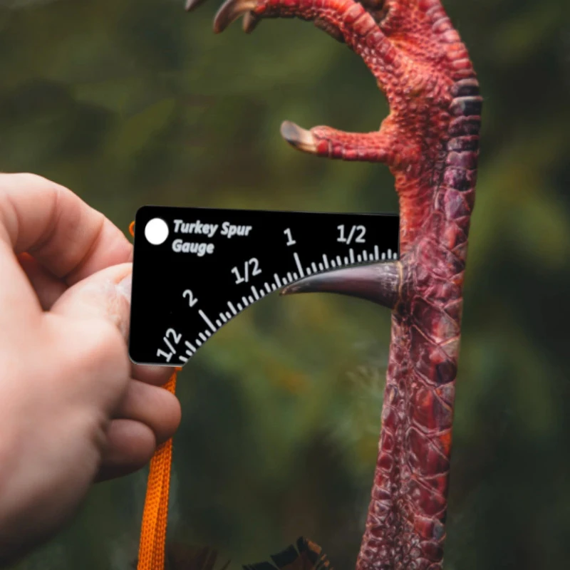 متعددة الوظائف البرية تركيا حفز مقياس المحمولة دائم تركيا حفز قياس حاكم المدمجة أداة قياس الدقة مع مشبك