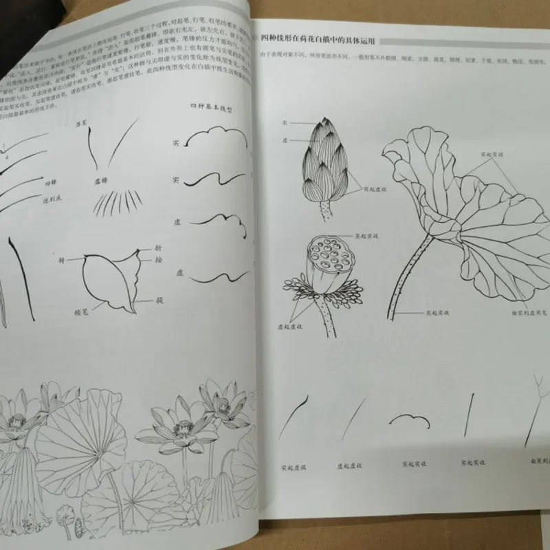 중국어 회화 Sumi-e 초보자 개요 스케치 흰색 그림 연꽃 참고서 입문 그림 교육 도서