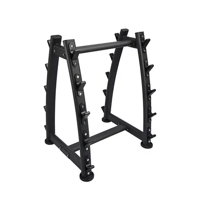 Fixed Barbell Rack (10 sets) Storage  Fitness Equipment