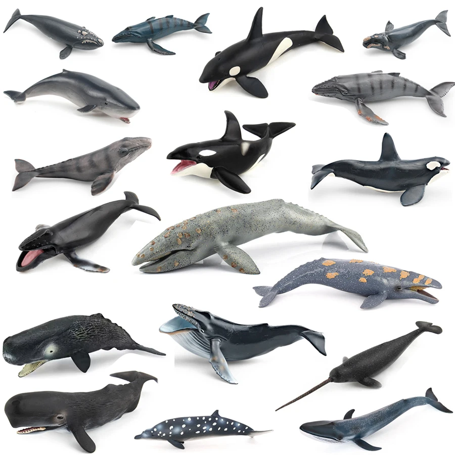 Figurines Réalistes de Baleines (Mors, Narval, Orca) et Autres Animaux Marins – Jouets Éducatifs et Décoratifs