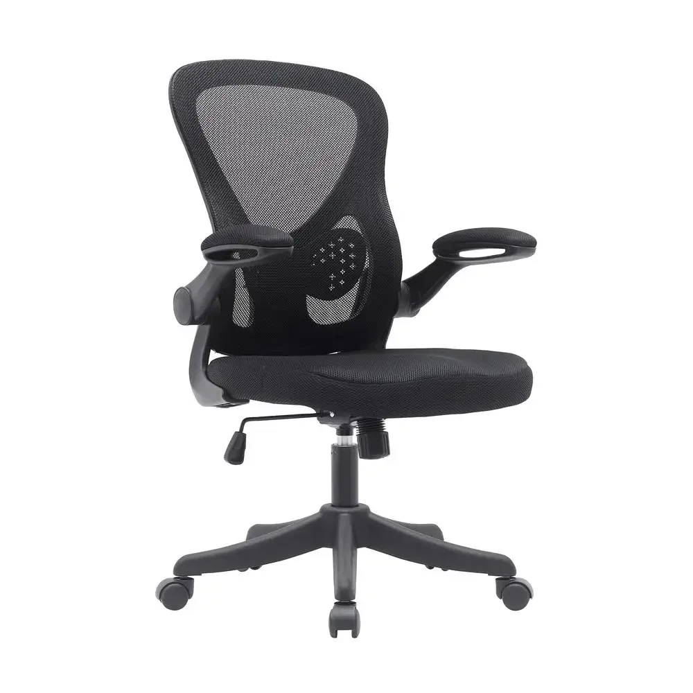 Mesh Ergonomic Office Chair with Lumbar Support Flip-Up Armrests and 220 Lbs Weight Capacity Breathable Back Adjustable Height