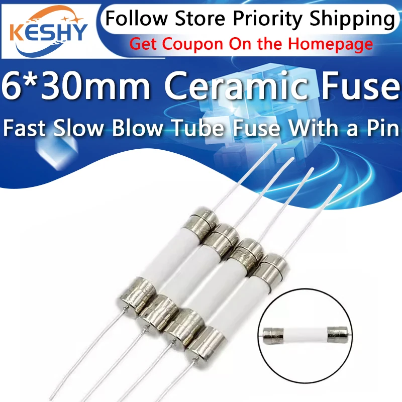 10PCS 6*30mm Ceramic Fuse Fast Slow Blow Tube Fuse With a Pin 6X30MM 250V 8A 10A 12A 15A 20A 25A 30A