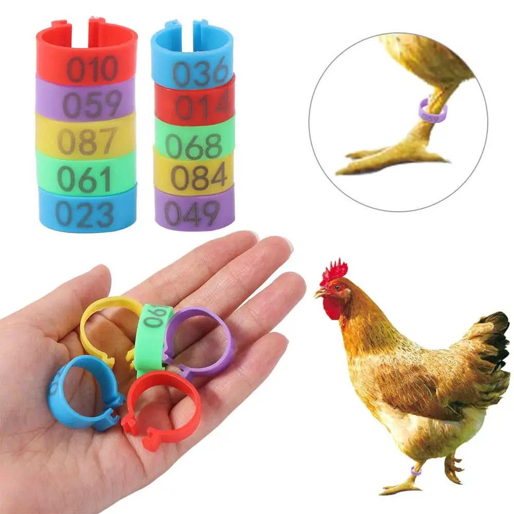 100pcs Portable Poultry Leg Tags Plastic Mixed Colour Poultry Ankle Bands 5 Colors 16/20mm Chicken Leg Bands Rings