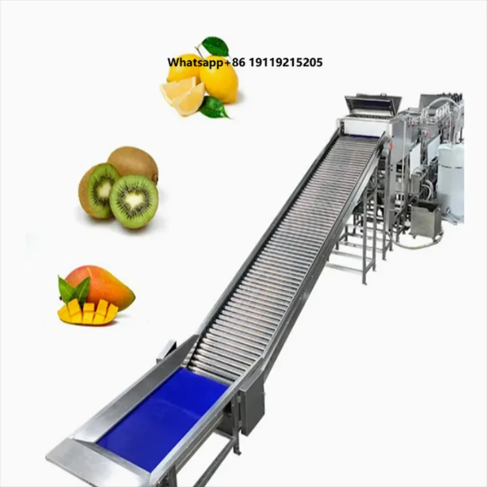 Sorting Machine Automatic Intelligent Fruit Sorting Line Weight