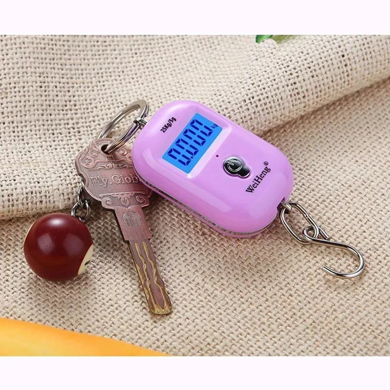 25Kg X 10g Kitchen Weight Tool Mini Digital Scale for Fishing Luggage Travel Weighting Steelyard Hanging Electronic Hook Scale