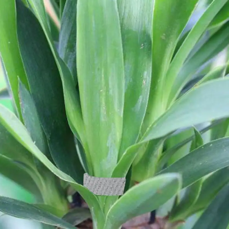 Gardening Tape Plant Twist Tie Adjustable Thickened Nylon Reusable 16.4 Ft X 0.59 Inch Supports Plants And Vines For Tree