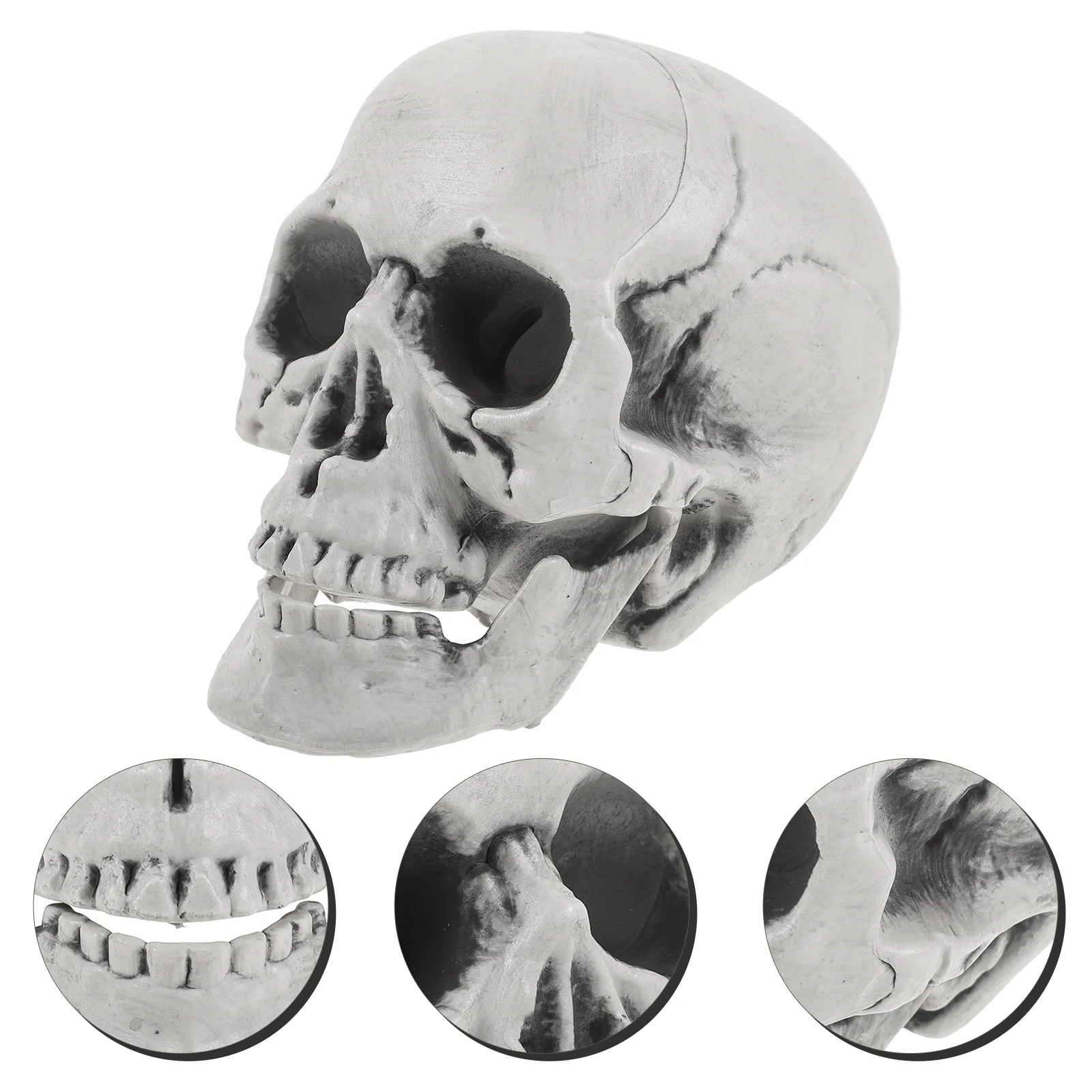 

Halloween Simulation Skull Decoration Scary Skull Figurine Statue for Halloween Drawing Sample and Home Decoration