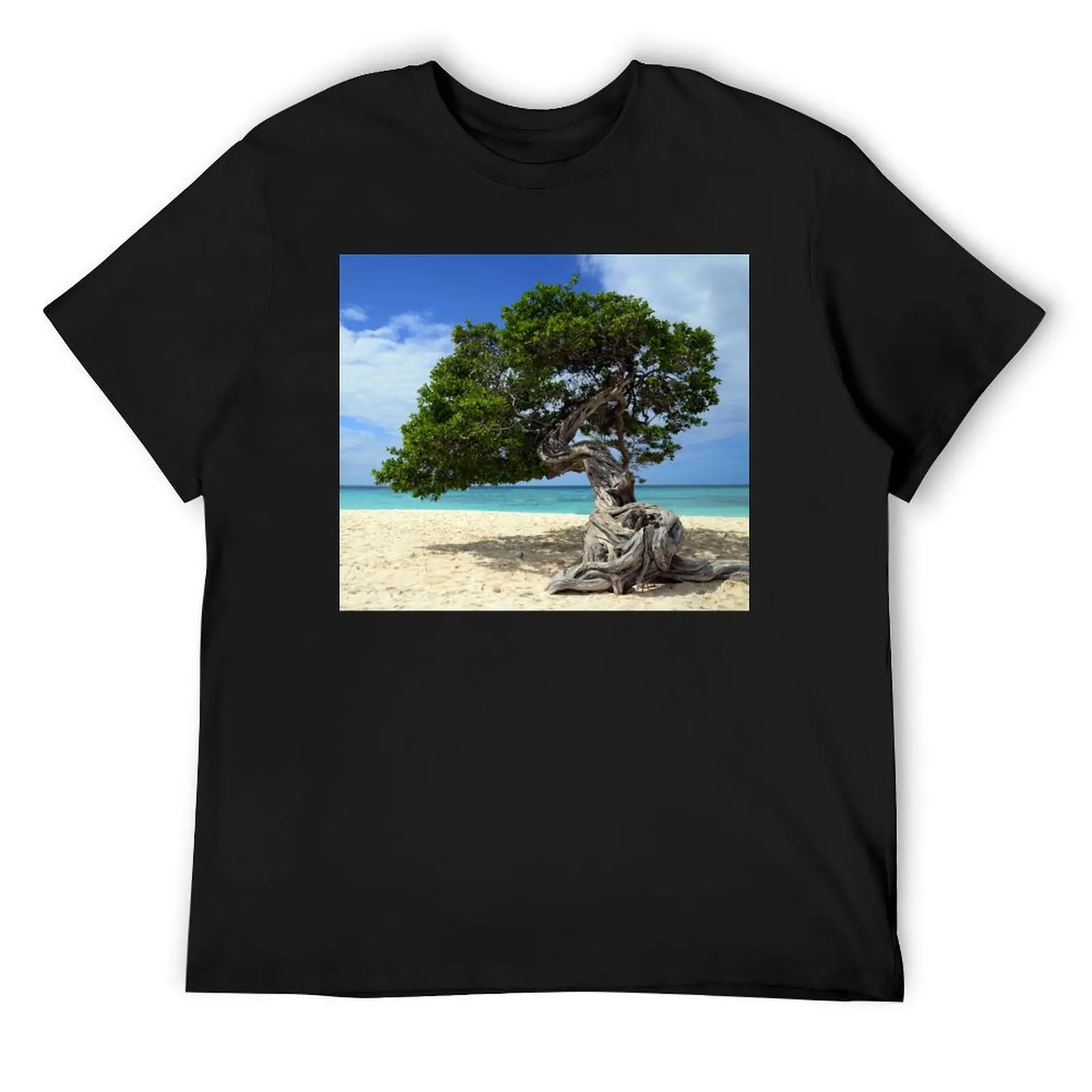 

Aruba tree , Divi Divi T-Shirt graphic shirts tshirts personalised vintage graphic tee sublime Men's t shirts