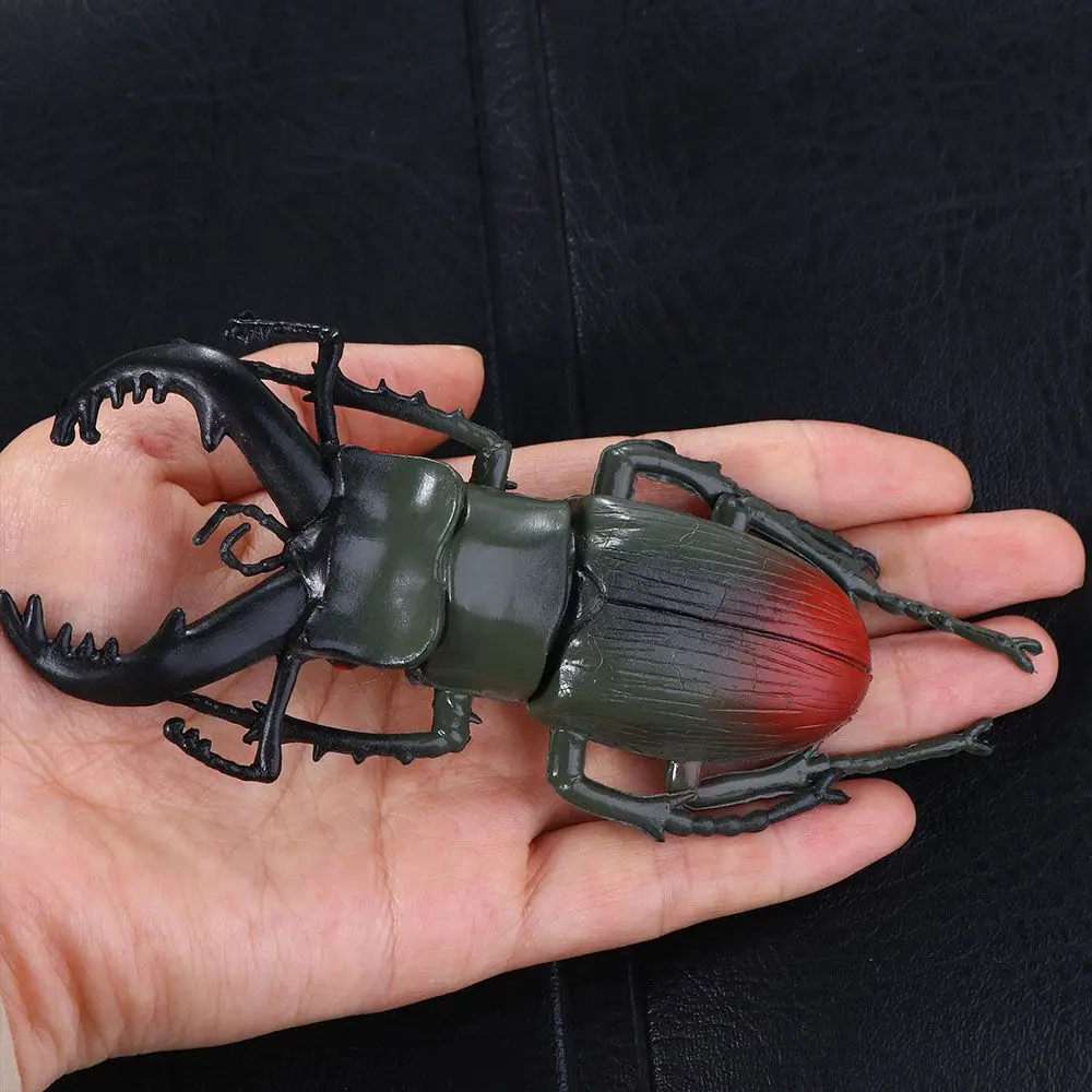 

Props Science Beetle Figures Joke Insect Beetle Simulation Beetle Insect Model Special Lifelike Model