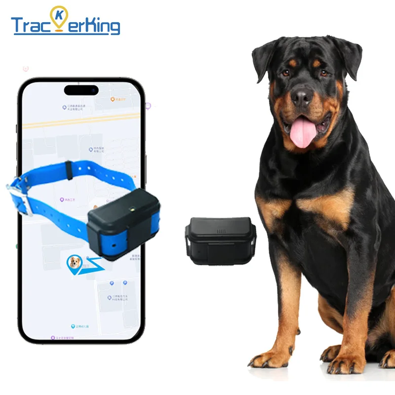 Hunting Dog Gps Tra…
