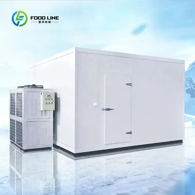 

Customized Heavy Duty Industrial Cold Room for Frozen Foods Prefabricated Cold Rooms Frozen Room for Fish Storage