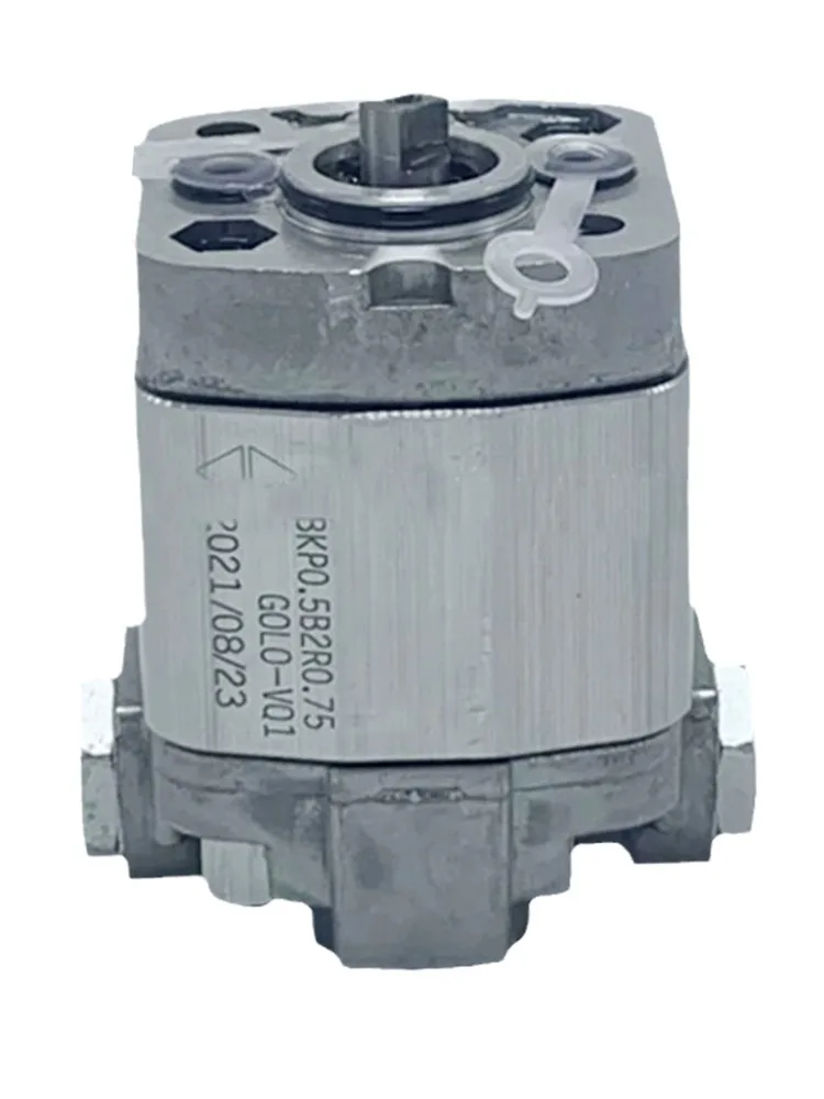 Bomba de engrenagem bidirecional BKP0.5B2R0.75/R0.65/R1.5/R1.7GOLO-VQ1 Bomba