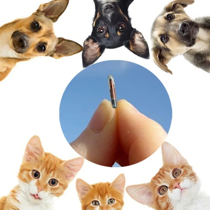 2.12x12mm microchip glass tags RFID Digital Pet ID 134.2Khz ISO11784 ISO11785 FDX-B transponder chips for animal identification