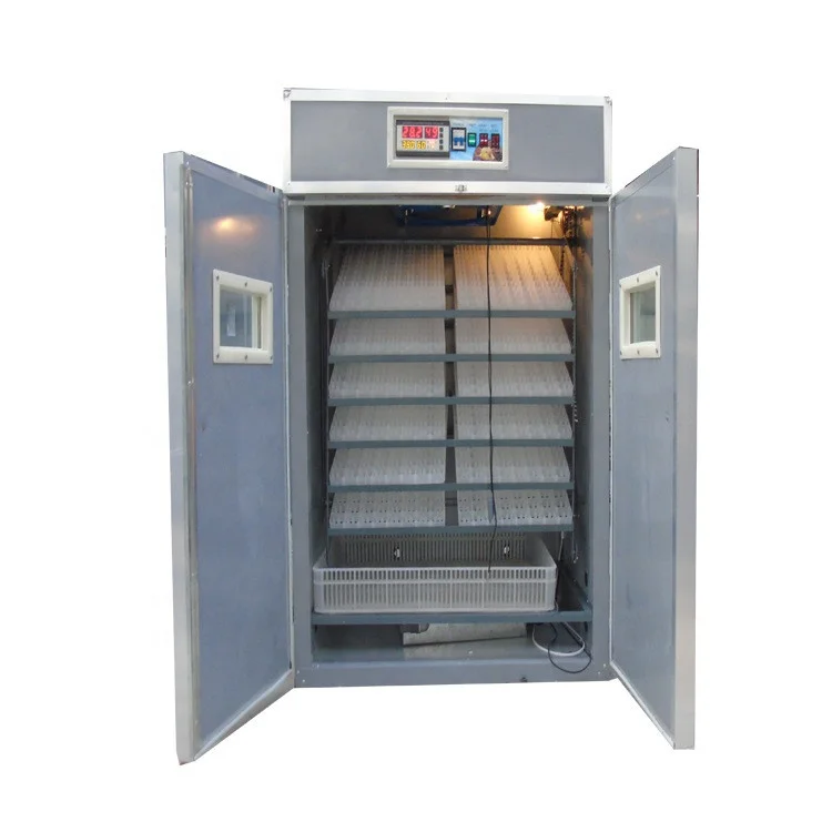 

Good Quality Incubators Hatching Eggs For Sale