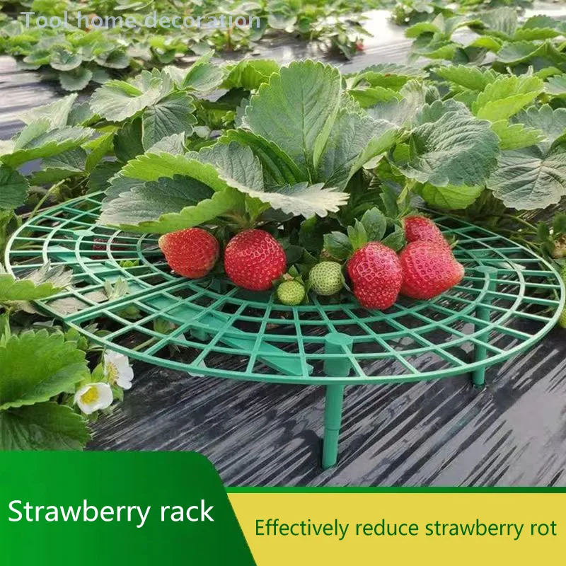 1/5pcs Strawberry Prop System with 4 Stable Legs; Ensures Clean Berries Farming Equipment Strawberry Growth Aid