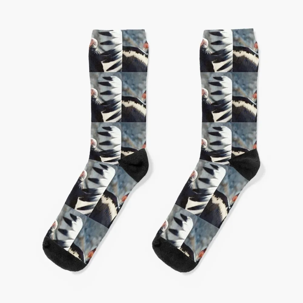 

California Condor Socks sports stockings happy luxury Socks Women's Men's