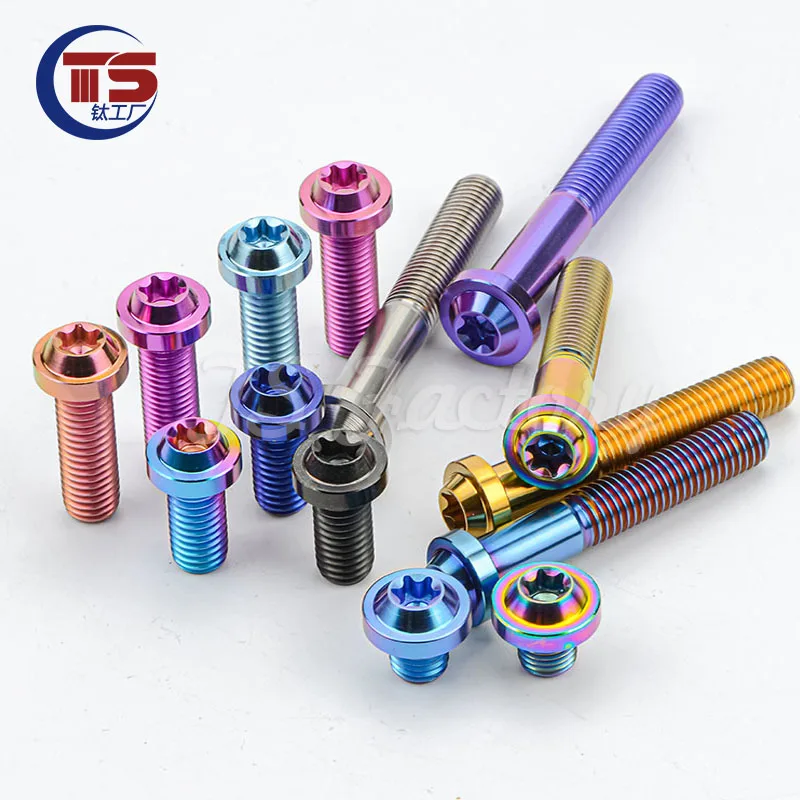 TS10pcs티타늄 볼트 M10X40/45/50/55/60/65/70/75/80/85/90/100/110/120mm T50 Torx 자두 머리 나사 오토바이 자동차 액세서리